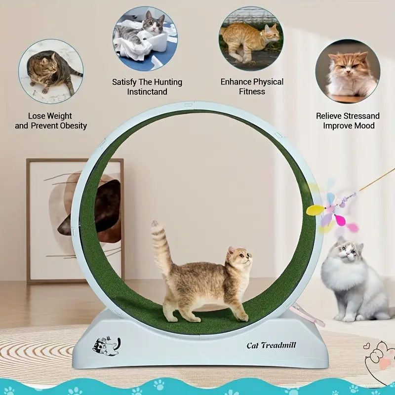 Pet Fitness Wheel - Interactive Treadmill for Cats and Dogs Grey