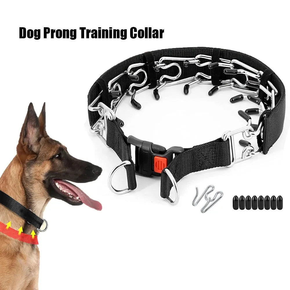 Dog Prong Training Collar