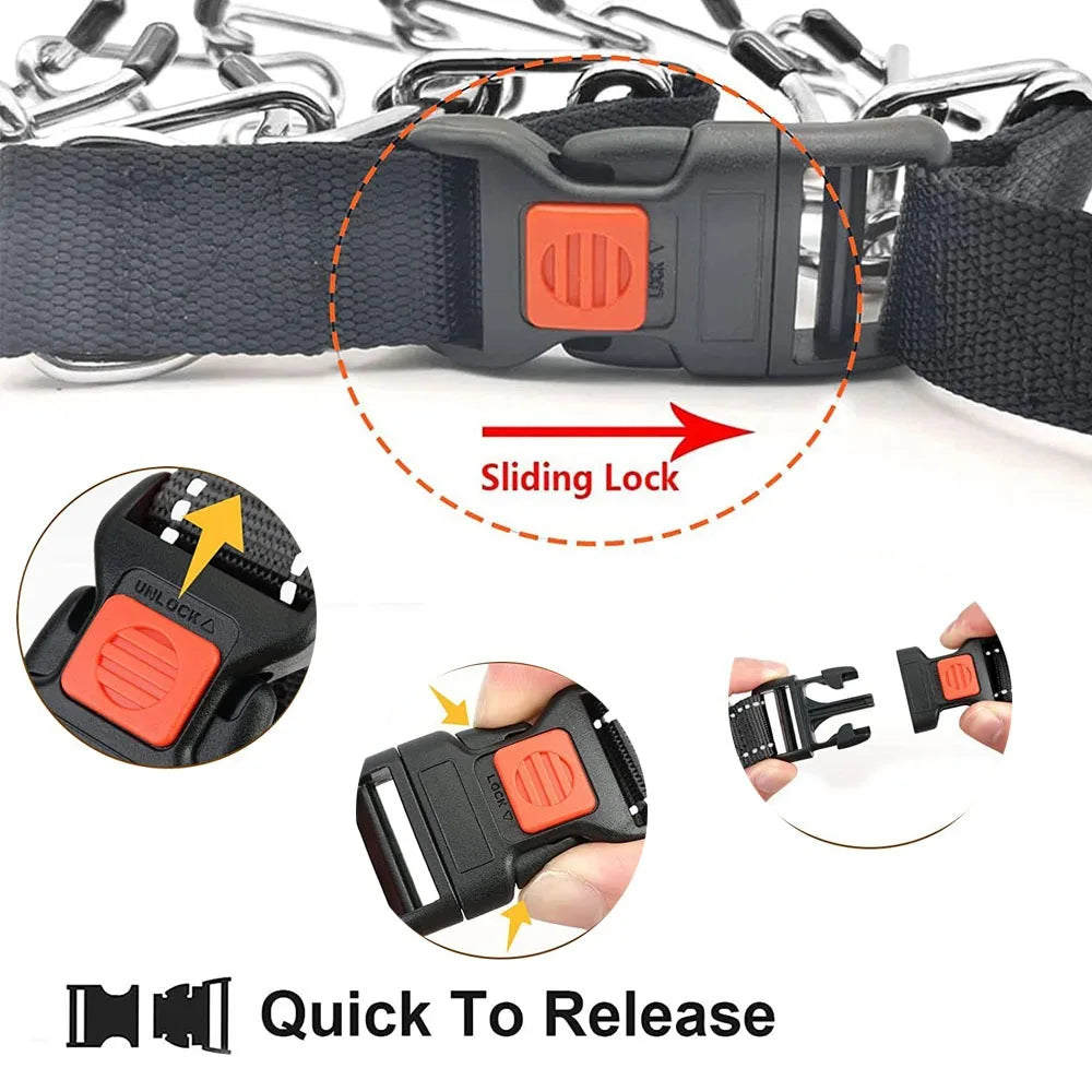 Dog Prong Training Collar
