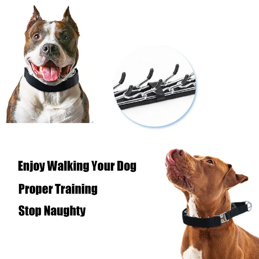 Dog Prong Training Collar