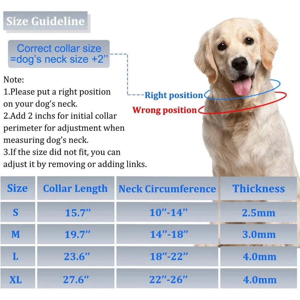 Dog Prong Training Collar