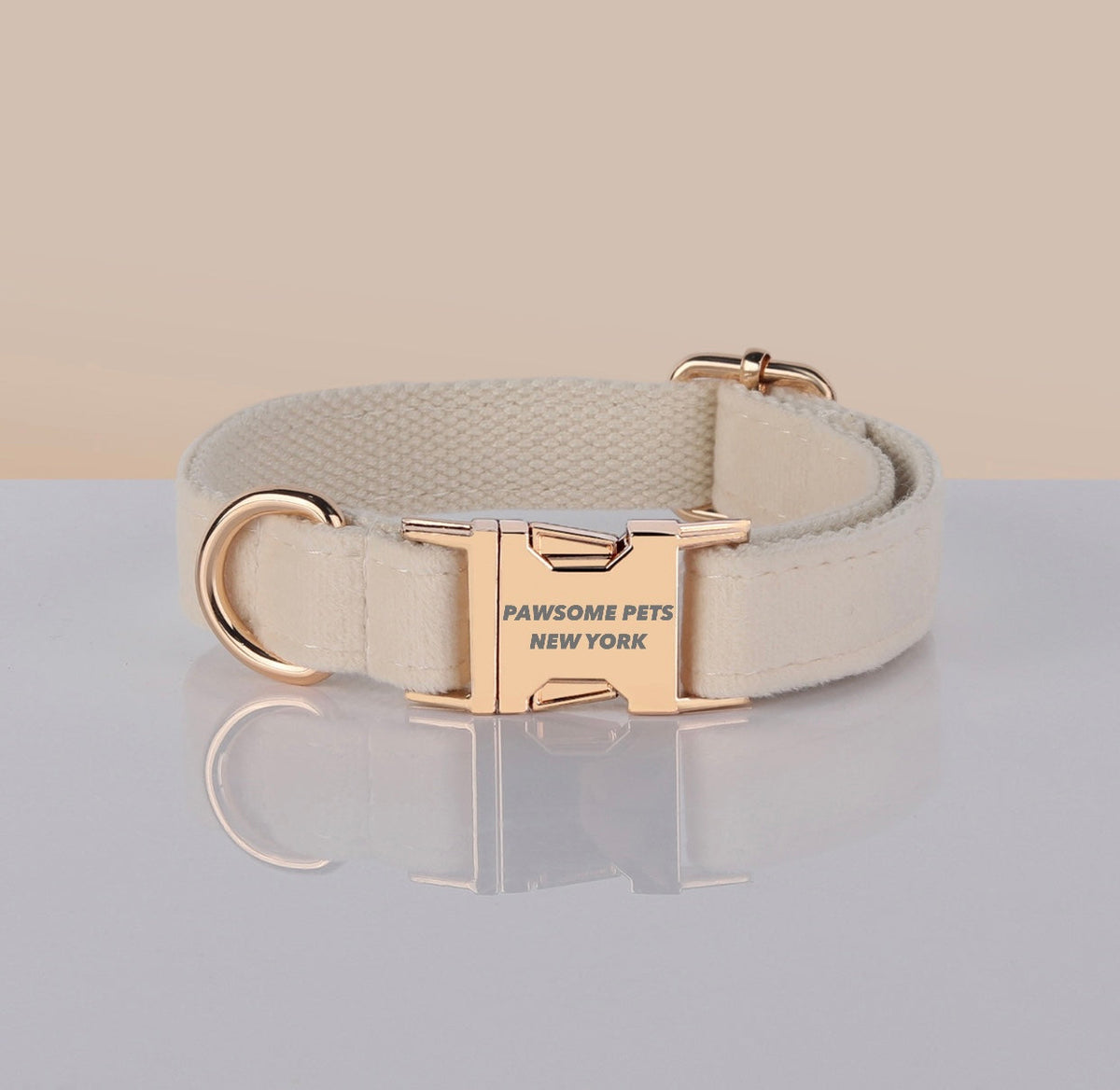 PAWSOME DOG COLLAR - #24