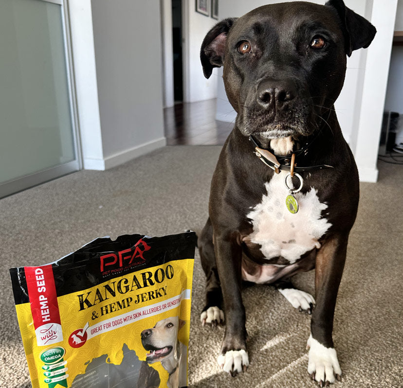 Kangaroo Jerky Treats 500g-1