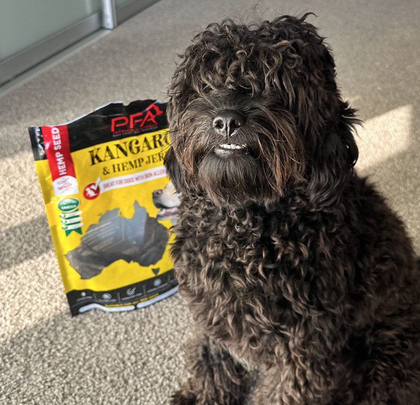 Kangaroo Jerky Treats 500g-3